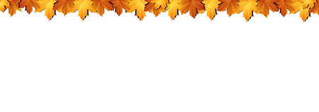 Border of autumn maples leaves.のイラスト素材