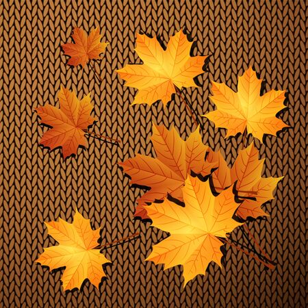 Autumn leaves on a knit backgroundのイラスト素材