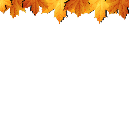 Border of autumn maples leaves.のイラスト素材