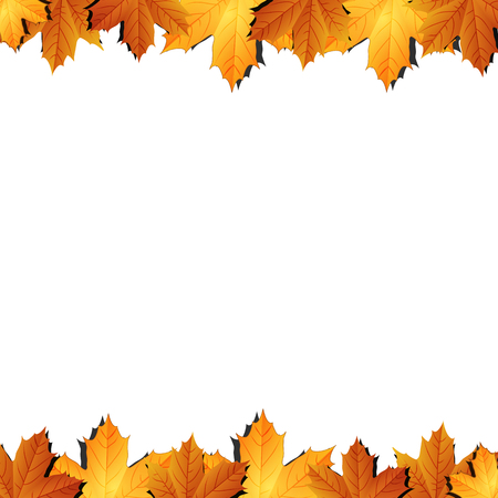 Border of autumn maples leaves.のイラスト素材