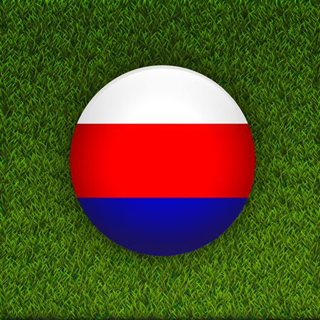 Soccer green grass pattern field with Russia flag background.のイラスト素材