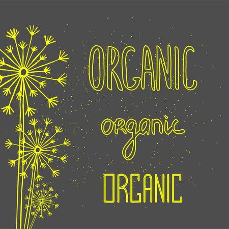 Hand drawn brush lettering. Organic, template isolated on dark background. Heading for restaurant menu.のイラスト素材