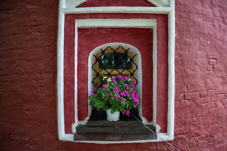 Window with flower pots and colorful flower on a wall. Bright dark pink petunia flowers.の写真素材