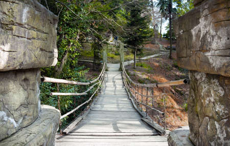 Suspension bamboo bridge in arboretum Sochi, Russiaの写真素材