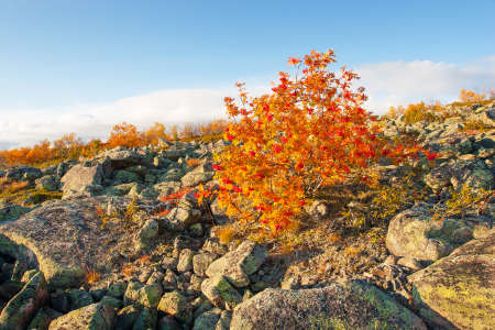 Lapland highlands in autumnの写真素材