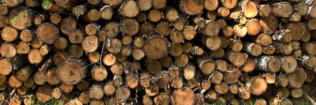 A stack of cut logs of wood has a fire.
