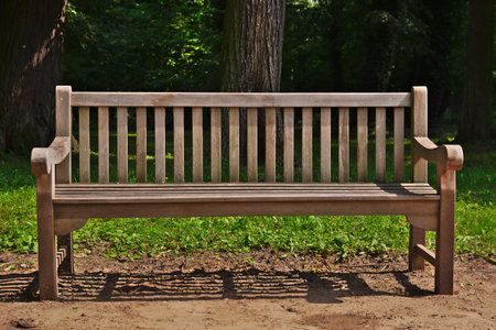 Wooden bench in the park.