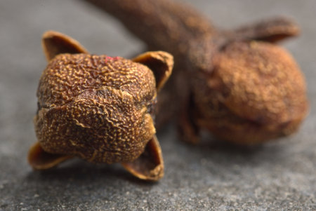 Brown dried cloves, textured on a gray stone background.の写真素材
