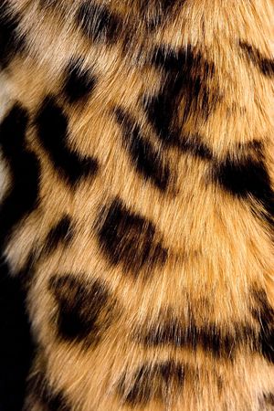 The fragment of leopard fur coat