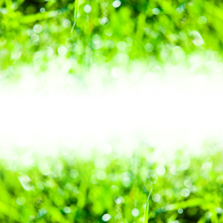 Sunny abstract green nature background with empty space in the middle with the bokeh of light through the grass as a background imageの写真素材