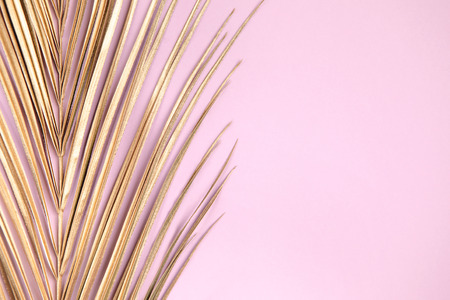 Closeup of golden palm leaf on pink background. Tropical luxury minimal summer background. Flat lay. Copy space.の写真素材