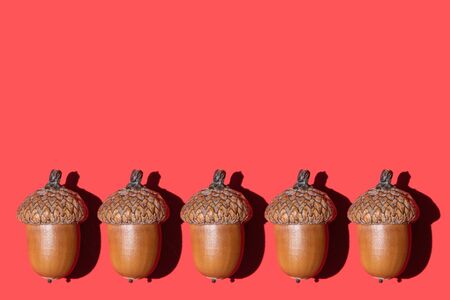 Trendy sunlight autumn composition. Acorns laying in a row on bright red background. Minimal concept. Flat lay style. Copy space.の写真素材