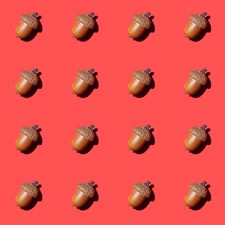 Trendy sunlight autumn seamless photo pattern. Acorns laying diagonally on bright red background. Minimal concept. Flat lay style.の写真素材
