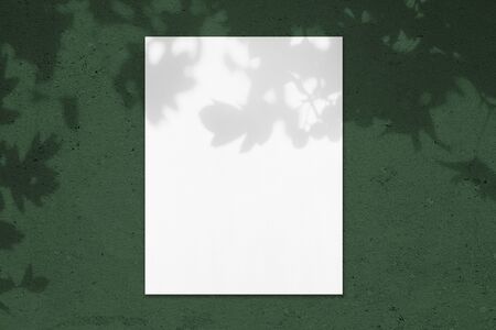 Empty white vertical rectangle poster mockup with soft shadow on dark green colored concrete wall...