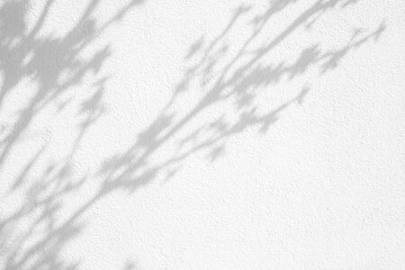 Gray shadows of the tree brunches on a white wall. Abstract neutral nature concept backgroundの写真素材