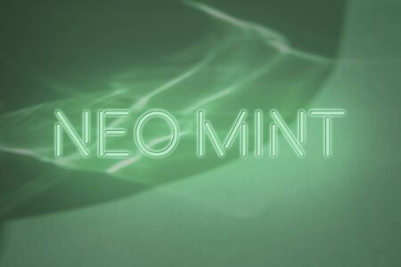 Trendy mint colored neon sign glowing lettering on abstract background with light and shadows...