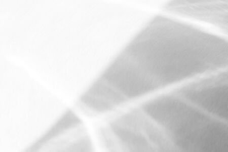 Organic drop diagonal shadow on a white wall, overlay effect for photo and mockupsの写真素材