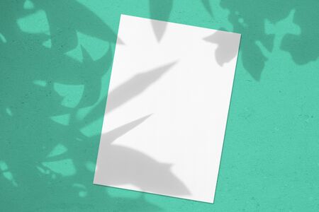 Empty white vertical rectangle poster or card mockup with with oleander leaves and flowers shadows on trendy mint green concrete background. Flat lay, top viewの写真素材