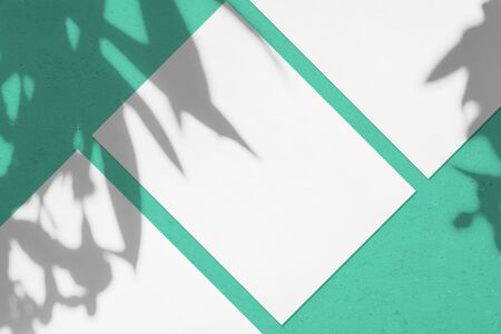 Three empty white rectangle poster or card mockups lying diagonally with oleander leaves and flowers shadows on trendy mint green concrete background. Flat lay, top view. Open composition.の写真素材