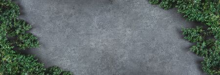 Natural Christmas banner with corners of fluffy green fir branches on a textured dark gray background. Copy space for text, flat lay, top view.の写真素材