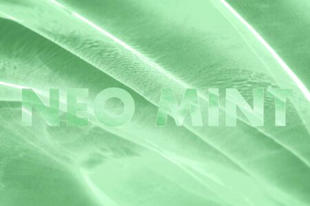 Trendy mint colored lettering on abstract background with light and shadows caustic effect. Color...