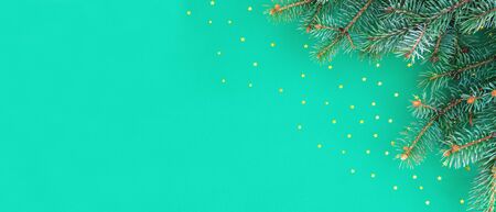 Christmas and Happy new year banner with border of fluffy green fir branches and gold confetti stars...