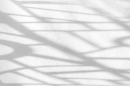 Organic drop diagonal shadow on a white wall, overlay effect for photo, mock-ups, posters, stationary, wall art, design presentationの写真素材