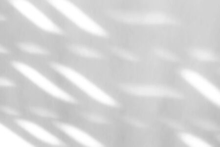 Organic drop diagonal shadow on a white wall. Overlay effect for photo, mock-ups, posters, stationary, wall art, design presentationの写真素材