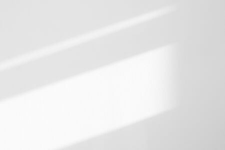 Organic drop diagonal shadow on a white wall. Overlay effect for photo, mock-ups, posters,...