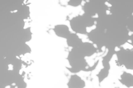 Blurred overlay effect for for natural light photo effects. Gray shadows of linden tree blooming...
