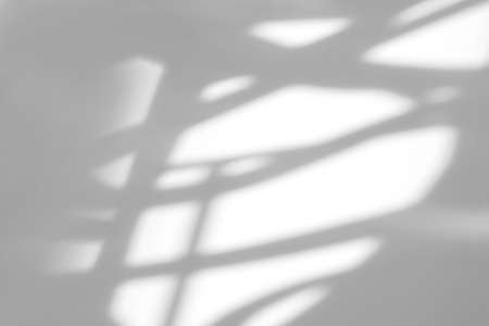 Overlay effect for photo and mockups. Organic drop diagonal shadow of art deco stained glass window...