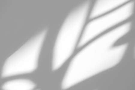 Overlay effect for photo and mockups. Organic drop diagonal shadow of art deco stained glass window...