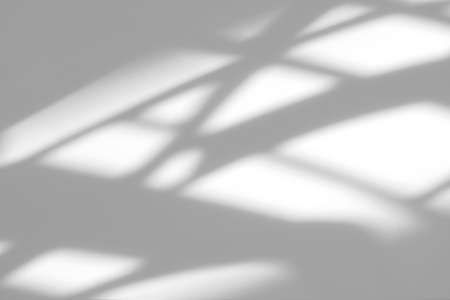 Organic drop shadow on a white wallの写真素材