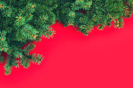 Christmas composition with border of green fir branches on red background