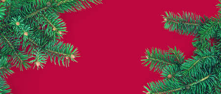 Christmas banner with border of green fir branches on red background