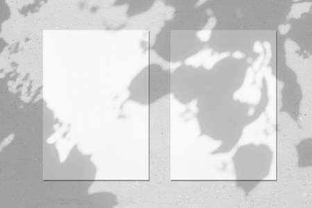 Two empty white vertical rectangle poster mockups with soft linden leaves shadowの写真素材