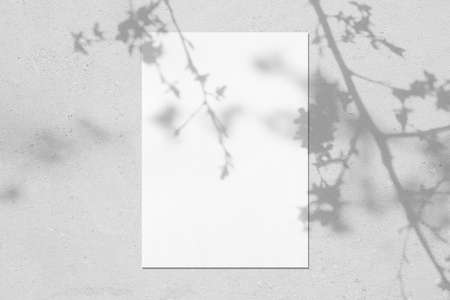 Empty white vertical rectangle poster mockup with leaves and flowers shadowsの写真素材
