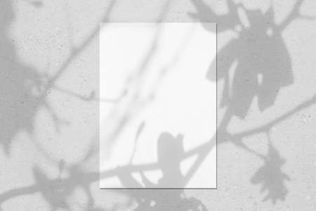 Empty white vertical rectangle poster mockup with leaves and flowers shadows