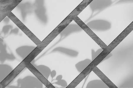 Many empty white vertical rectangle poster mockups with soft tree leaves shadowの写真素材