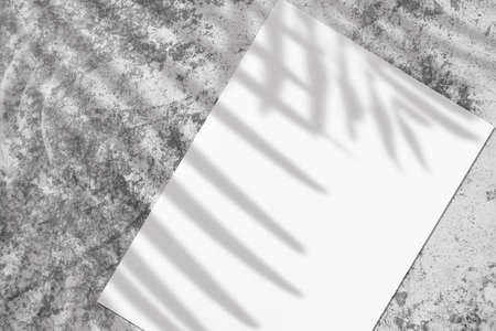Empty white vertical rectangle poster mockup with soft tree leaves shadowの写真素材