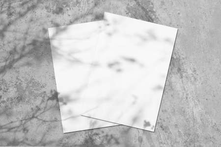 Two empty white rectangle poster diagonal mockups with tree shadowの写真素材
