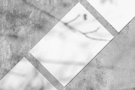 Three empty white vertical rectangle poster mockups with soft tree leaves shadowの写真素材