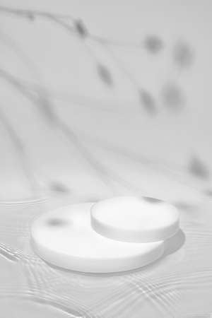 white cylinder podium on clear water with plants shadowsの写真素材