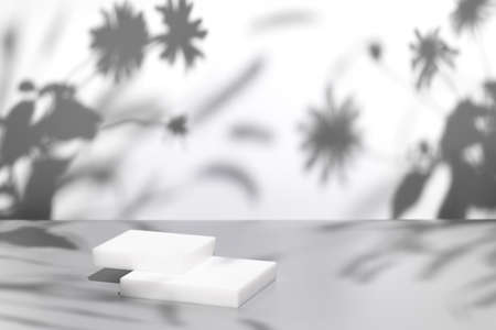 scene with square podium on gray background and shadowsの写真素材