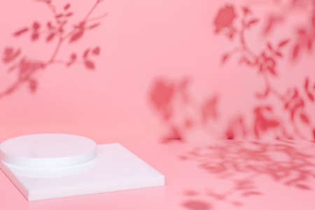 scene with white podium on pink background and shadowsの写真素材