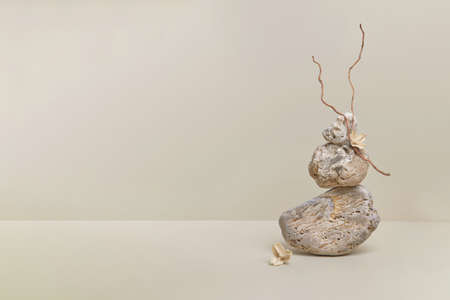nature scene with composition of stones and dry branches