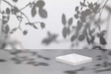 scene with white podium on gray background and shadows