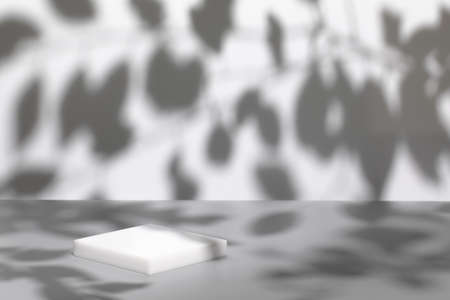 scene with white podium on gray background and shadows