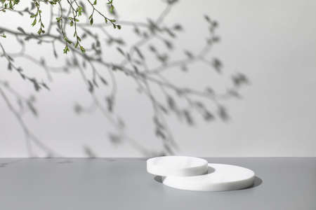 scene with white podiums on gray background and shadowsの写真素材