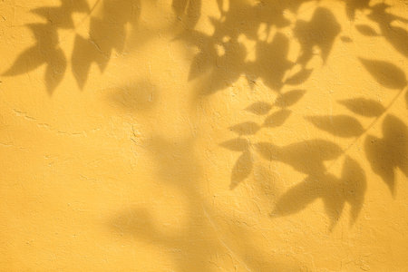 Shadow of leaves on yellow concrete wall texture background